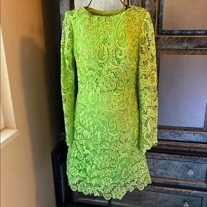 NWT Elegant Lace Dress in Vibrant Green